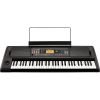 Korg EK-50L Limitless Entertainer Keyboard (EK50 / EK 50)