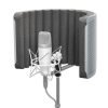 Samson RC10 (Reflection Filter)