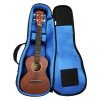 Reunion Blues Tenor Ukulele Gig Bag RBX-TUK (RBXTUK / RBX TUK)