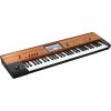 Krome-EX-CU-2 Korg Krome EX CU 61 Keys Special Limited Edition Copper Keys Music Workstation Keyboard