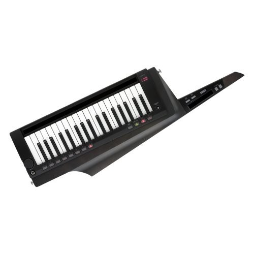 Korg RK-100S2 Keytar in Translucent Black (RK100S2 / RK 100S2)
