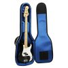 Reunion Blues Bass Guitar Bag RBX-B4 (RBXB4 / RBX B4)