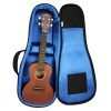 Reunion Blues Concert Ukulele Gig Bag RBX-CUK (RBXCUK / RBX CUK)