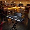 Korg PA600MY Professional Arranger Keyboard
