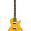 Epiphone Slash "AFD" Les Paul Special-II Outfit Electric Guitar