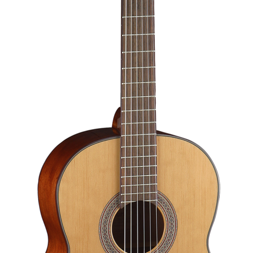 Cort AC200 Classic Series Nylon Strings Solid Top Classical Guitar With Gigbag