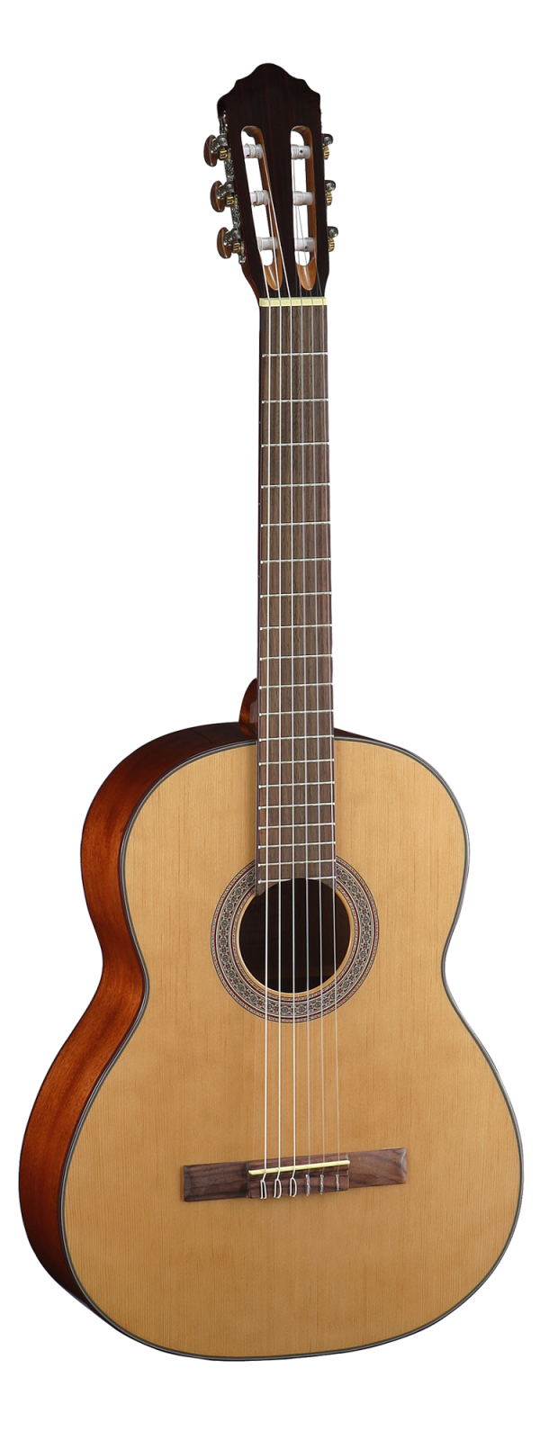 Cort AC200 Classic Series Nylon Strings Solid Top Classical Guitar With Gigbag