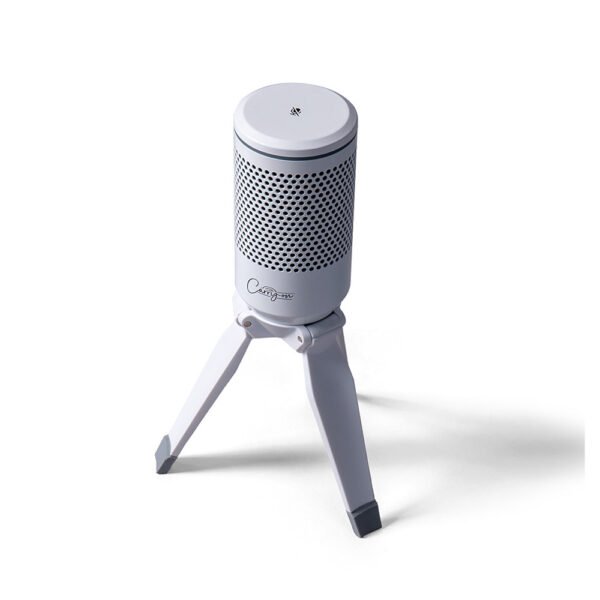 Carry-on Foldable USB Microphone – White