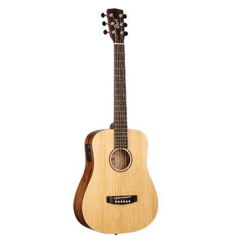 Cort Earth Pack-OP Acoustic Guitar Package