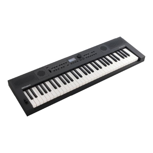 Roland GO:KEYS 5 Keyboard - Graphite