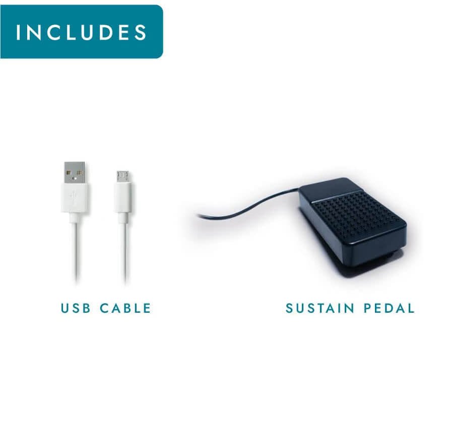 Carry-On FP49T – 49-Key Folding Digital Piano with Touch Sensitivity and Built-in Speakers